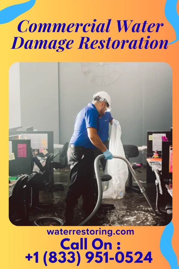 Commercial Water Damage Restoration in Double Spring, NV