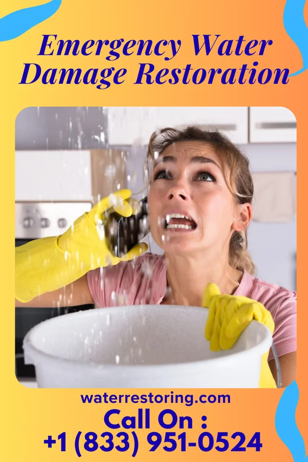 Emergency Water Damage Restoration in Double Spring, NV