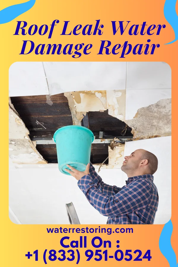 Roof Leak Water Damage Repair in Double Spring, NV