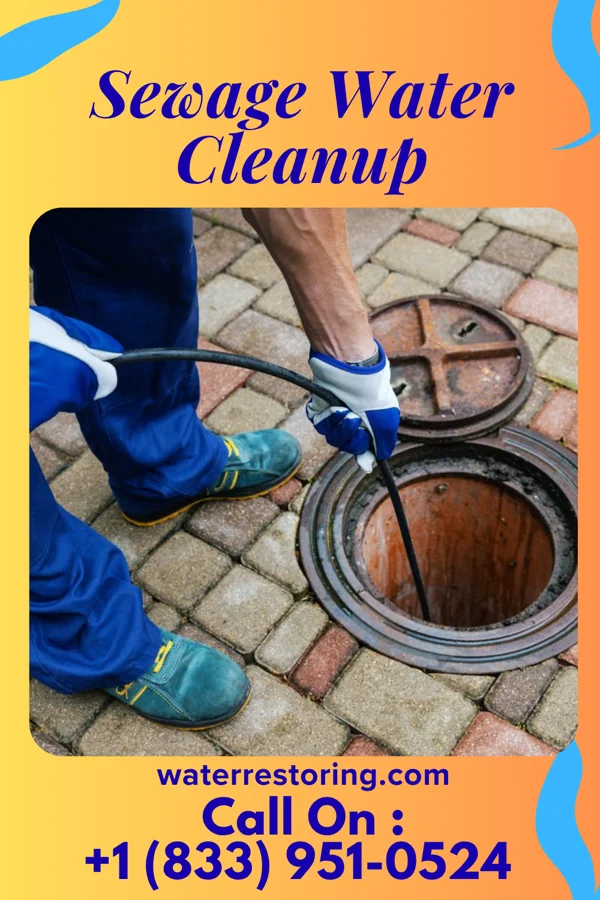 Sewage Water Cleanup in Double Spring, NV